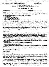Đề thi khảo sát học sinh giỏi môn Hóa học Lớp 11 lần 3 - Năm học 2016-2017 - Sở giáo dục và đào tạo Nghệ An